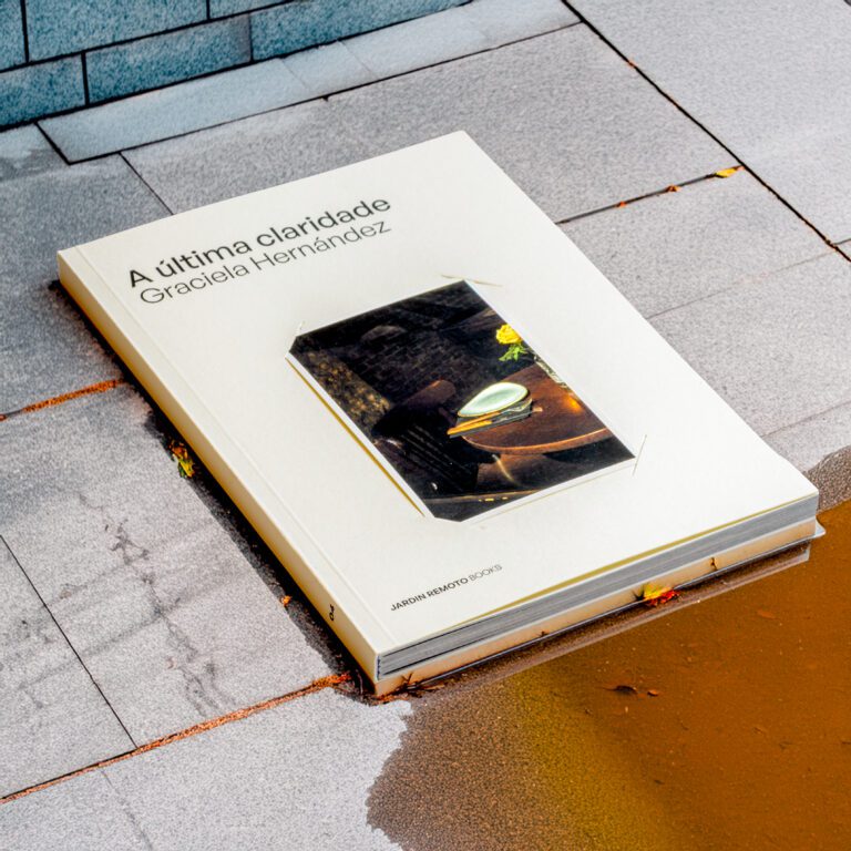 A última claridade Graciela Hernández 10