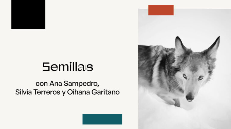 cartel de la sesión semillas con Ana Sampedro, Silvia Terreros y Oihana Garitano, mostrando la fotografía de un perro o lobo en la nieve.