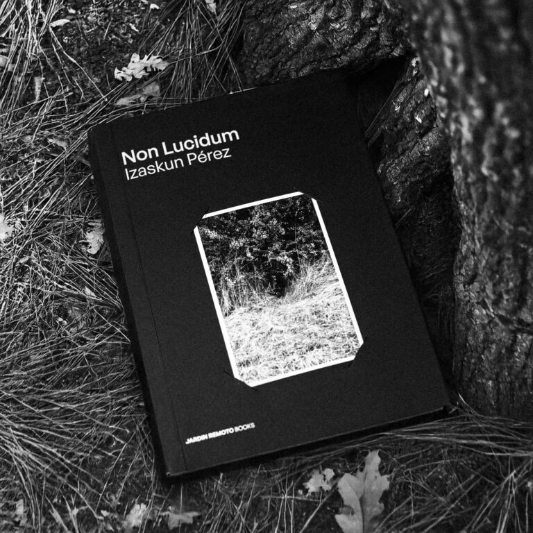 Jardin Remoto Books vol 4 Non Lucidum Izaskun Perez-10