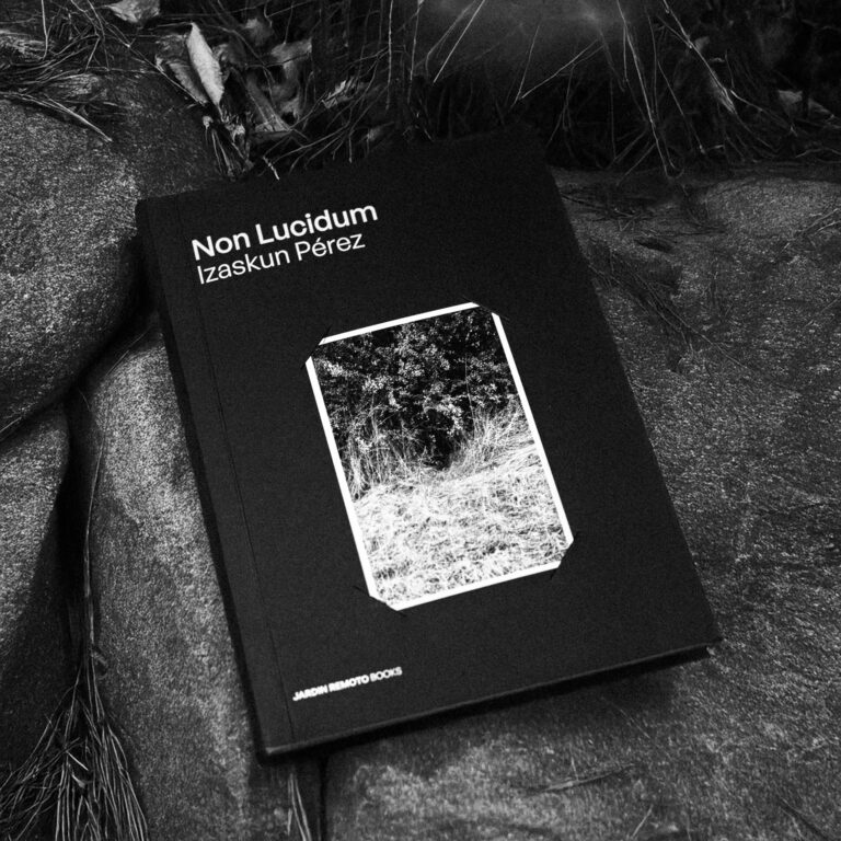 Jardin Remoto Books vol 4 Non Lucidum Izaskun Perez-12