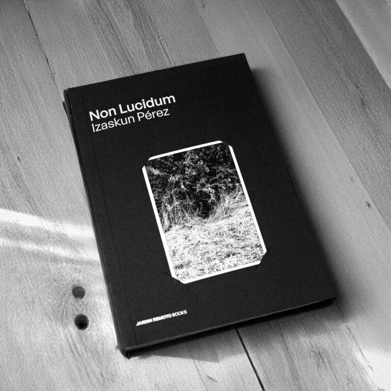 Jardin Remoto Books vol 4 Non Lucidum Izaskun Perez-15