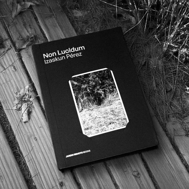 Jardin Remoto Books vol 4 Non Lucidum Izaskun Perez-5