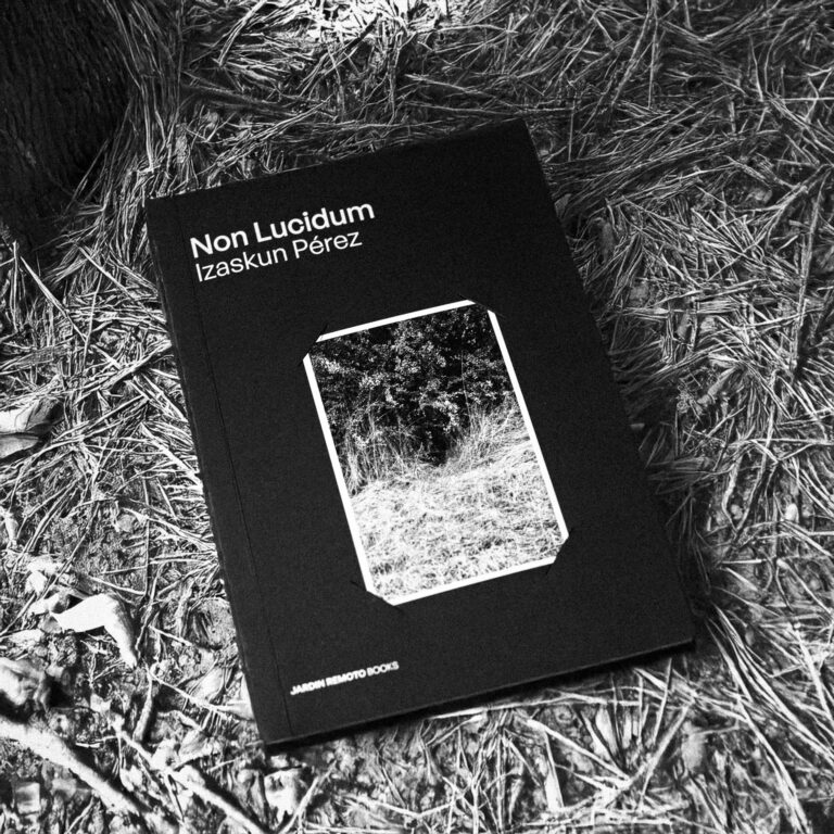Jardin Remoto Books vol 4 Non Lucidum Izaskun Perez-7