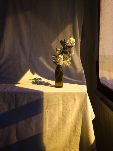 Foto: Oihana Garitano