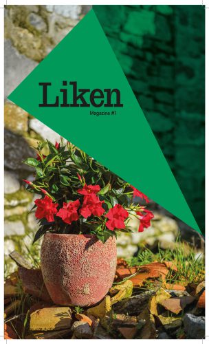 260518_plantilla_liken_A4_pliegos (1)_Página_01