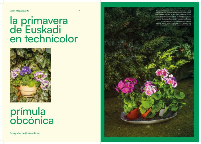 260518_plantilla_liken_A4_pliegos (1)_Página_03