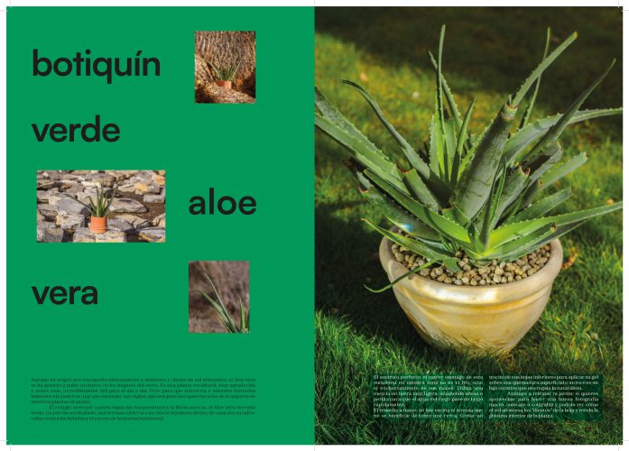 260518_plantilla_liken_A4_pliegos (1)_Página_05