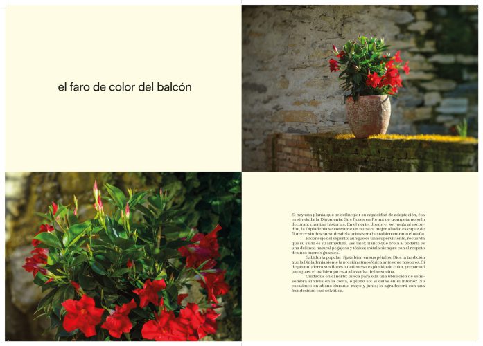 260518_plantilla_liken_A4_pliegos (1)_Página_12