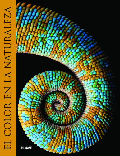 Color_naturaleza_Página_01