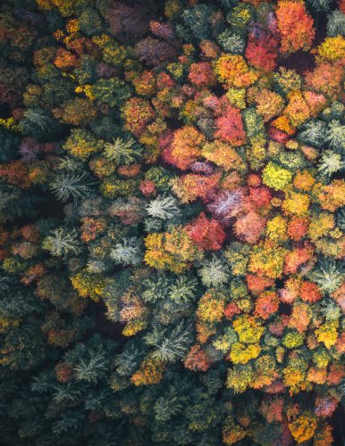 Color_naturaleza_Página_02