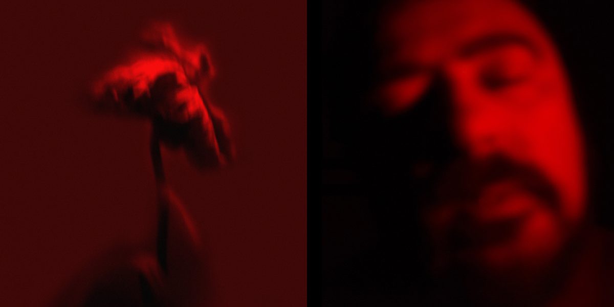 Desde mi cuarto oscuro (22)