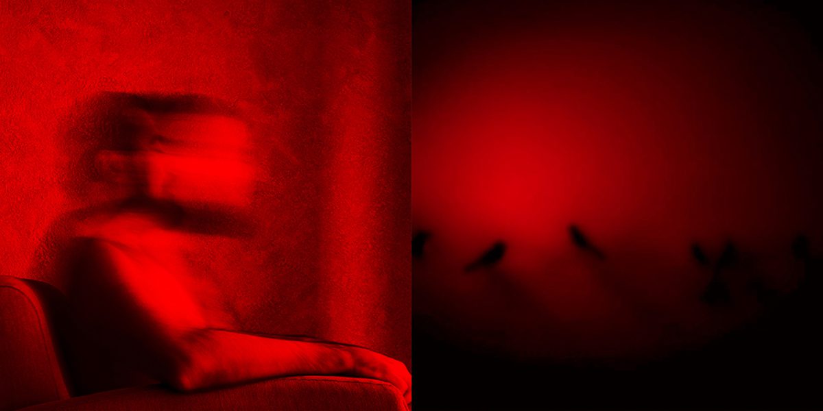 Desde mi cuarto oscuro (28)