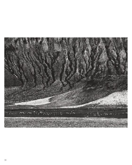 Glaciares_Página_6