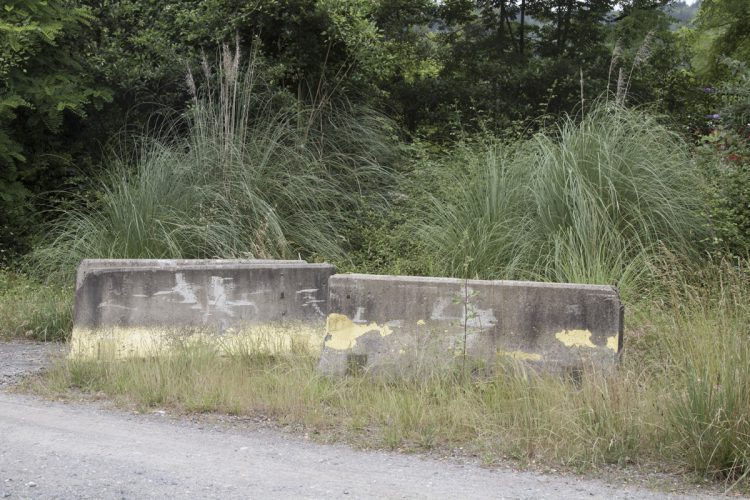 Foto: Adirane Azkuenaga