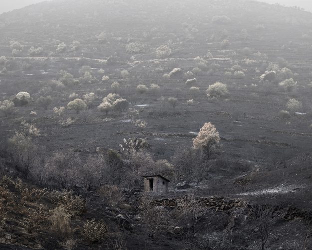 Infiernos terrenales_01