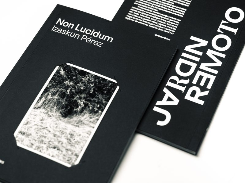Jardin Remoto Books vol 4 Non Lucidum Izaskun Perez-2