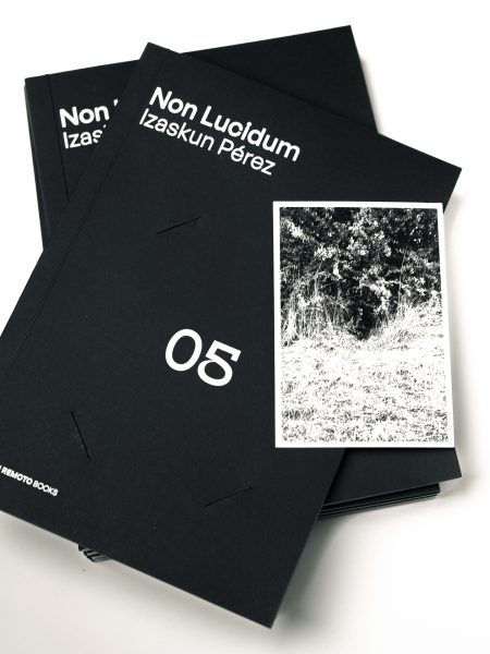 Jardin Remoto Books vol 4 Non Lucidum Izaskun Perez-3