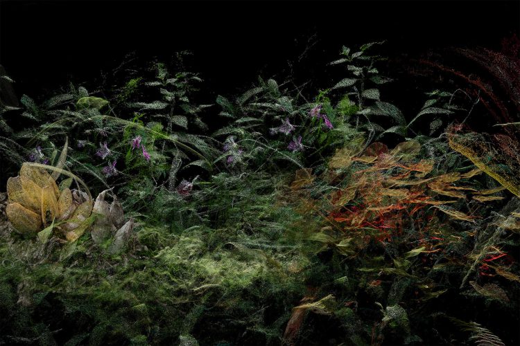 LAS FLORES MUEREN DOS VECES (15)