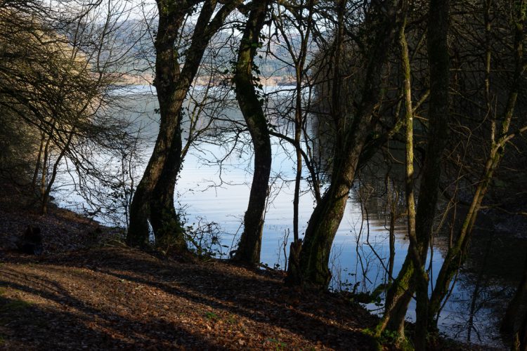 Foto: Silvia Terreros