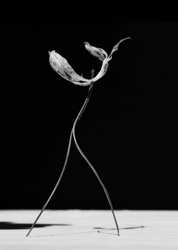 Txema Yeste needles fotolibro 10