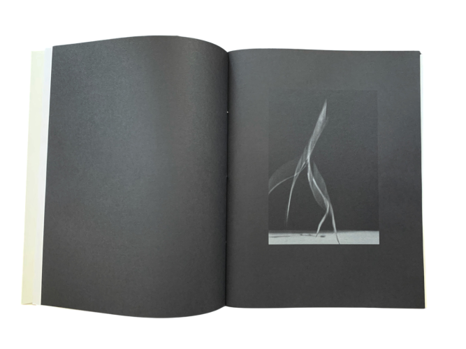 Txema Yeste needles fotolibro 5