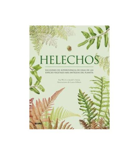helechos