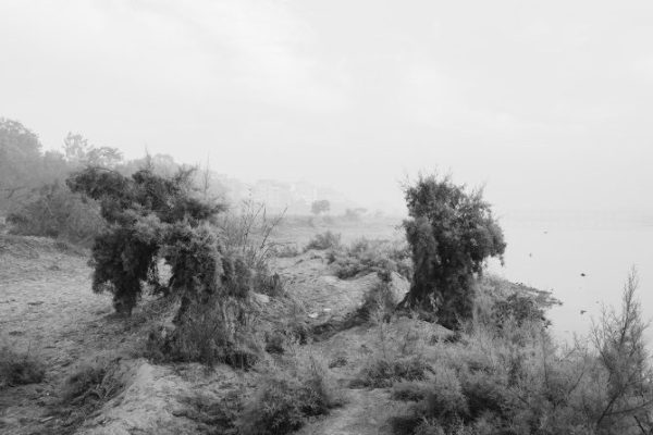 Foto: Pablo López