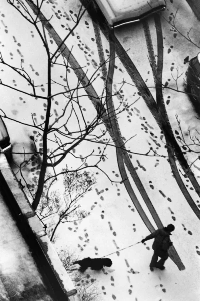 28Kertesz7-superJumbo