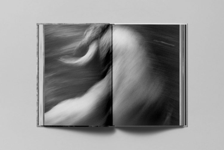 Disparatavus-CLAVERG_double_2