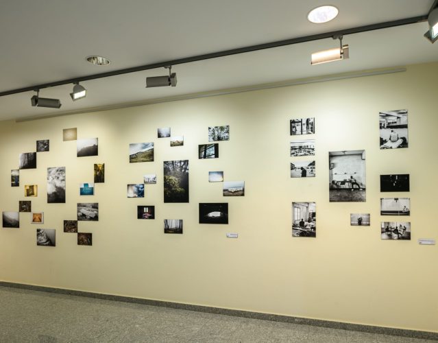 exposición web-20