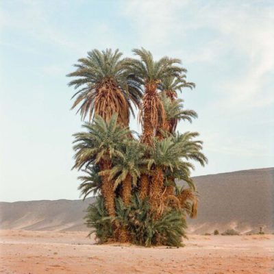 When we are in the dry and arid desert, there is one thing we look for almost instinctively and that is the green color. It is the promise of water and therefore of life. This is the last grouping of palm trees in Tanseest, what used to be an oasis 15 km from the town of Assa.