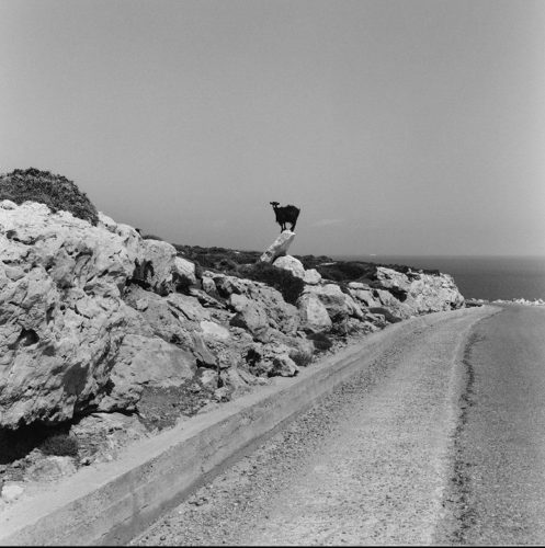ferran freixa-24
