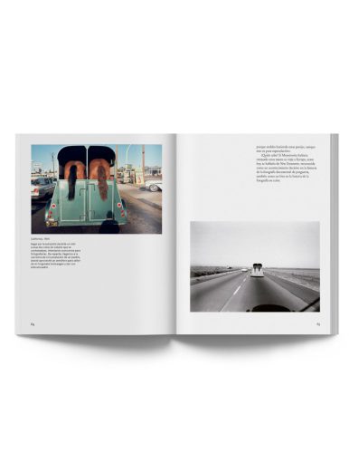 joel-meyerowitz-en-color (1)