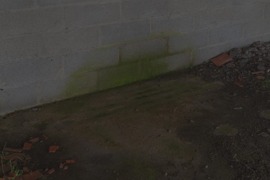 juan sanchez sanchez panadella