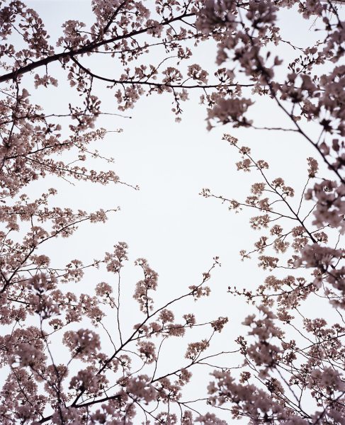 Foto: Akiko Kimura