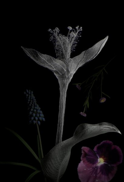 Premio de Fotografía Fundación ENAIRE 2024 Beatriz Ruibal
