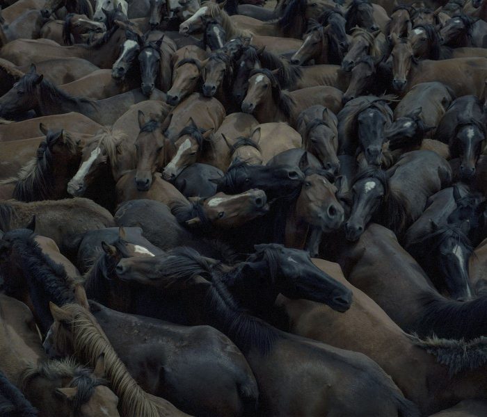 Premio de Fotografía Fundación ENAIRE 2024 Carlos Folgoso