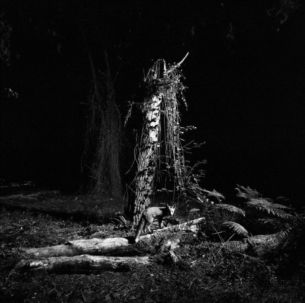 O buraco do Inferno Tono Arias