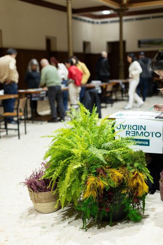 Revisiones de portfolios Jardin Remoto Experience 2024 @Adriana Fariñas-17