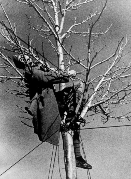 soldado-republicano-arbol-robert-capa