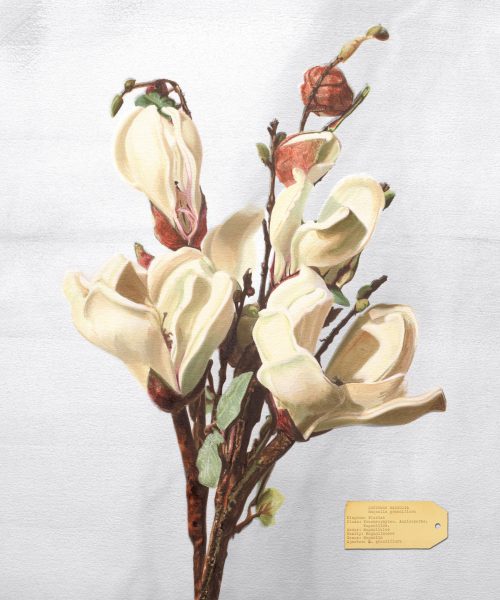 Foto: Vik Muniz